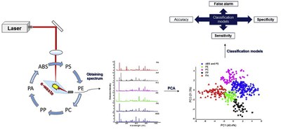 ga_Identificationandclassificationofpolymerewasteusing.jpg