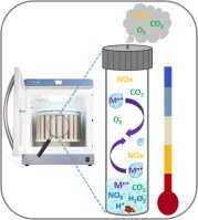 Investigation of analyte losses using microwave